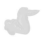 shape
